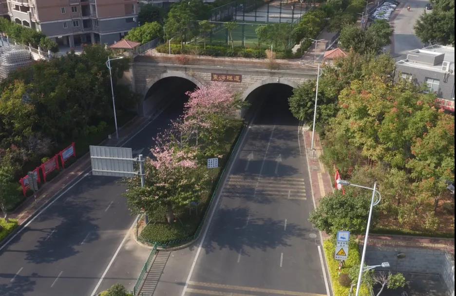 香港内部资一码中